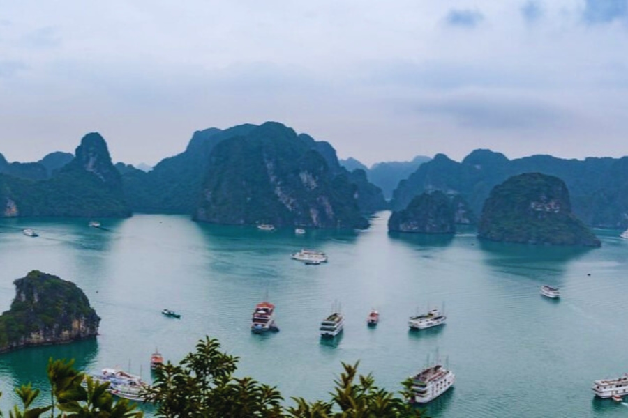 Panoramic Halong Bay viewpoint with cruise ships – Auasia Travel